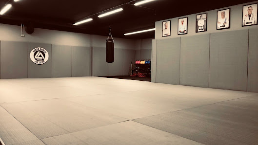 Roger Gracie Jiu Jitsu Istanbul thumb 4